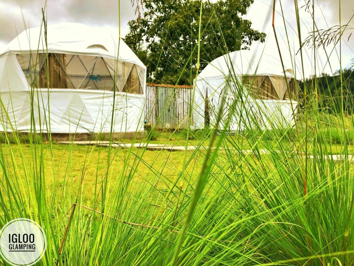 Готель Igloo Glamping Bali Kintamani  Екстер'єр фото